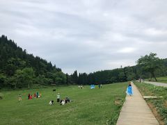 -武陵山森林公园