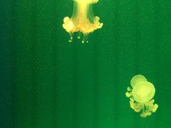 -福州罗源湾海洋世界旅游区