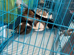 -天虹购物中心(石路店)