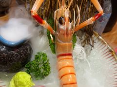 -稻前Taoki(方圆荟店)