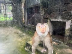 -海南热带野生动植物园