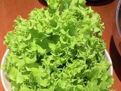 -鑫日千里马朝鲜族小馆(总店)