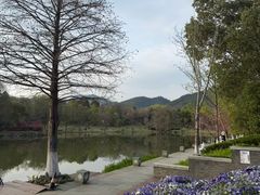 -浙江农林大学(东湖校区)