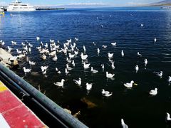 -青海湖国家重点风景名胜区