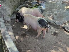 -宁波野生动物园
