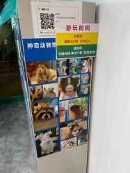 -神奇动物撸宠馆·羊驼·小浣熊·异宠(豫园店)