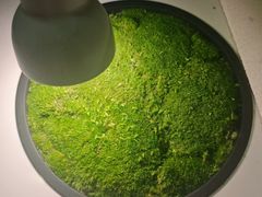 -予厘·推拿按摩·精油SPA(憩舍长安店)