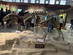 -自贡恐龙博物馆