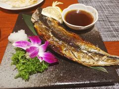 -松羽料理(国大店)