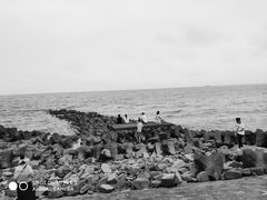 -南汇嘴观海公园