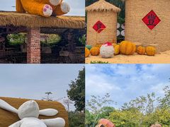 -汕头中海黄金海岸水上乐园