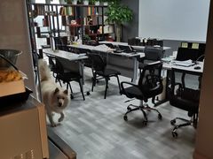 -肆兮眼镜·蔡司·徕卡战略合作店(大坪店)