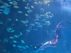 -常州海昌海洋探索馆