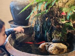 -衢农会·衢州菜·宴请(国际机场店)