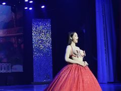 -金东尼人妖秀