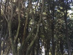 -南诏风情岛