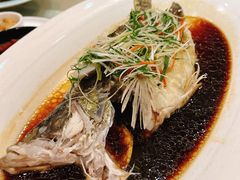 广式蒸鲈鱼-新开元大酒店(杭州大关店)