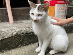 -西溪南古村落