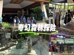-呀诺达热带雨林