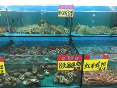 -棠记海鲜餐厅(南朗镇店)