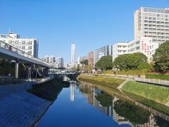 -福田红树林生态公园