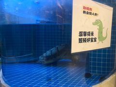-金彤川菜(西稍门店)