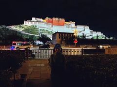 -布达拉宫