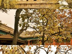 -北京石刻艺术博物馆(五塔寺)
