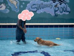 -趣玩宠物乐园寄养训犬训狗游泳池