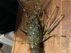 -云厨·高空西餐厅(成都瑯珀·凯悦臻选酒店)