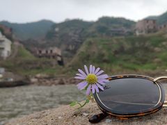-枸杞岛