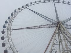 -济南国际园博园