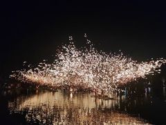 -南京珍珠泉风景区
