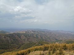 -苏木山森林公园