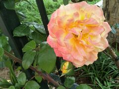 -聚德福海鲜家常菜(刘庄店)