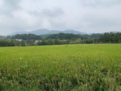 -韶山毛泽东同志故居
