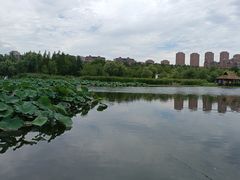 -前关湿地公园