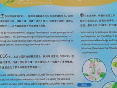 -福田红树林生态公园