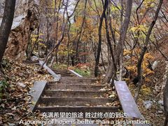 -大连天门山国家森林公园