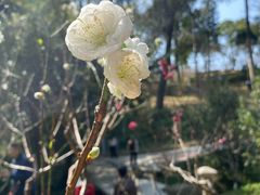 -桃花涧
