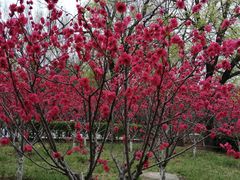 -长辛店二七公园