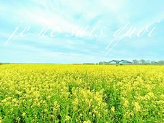 -苏州太湖西山岛开心农场