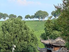 -帐篷客·溪龙茶谷度假酒店