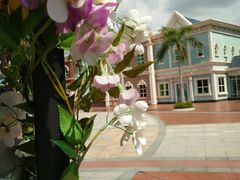 -厦门方特梦幻王国