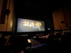 -金逸影城(荟聚IMAX激光店)