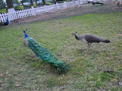 -西昌邛海宾馆