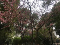 -堤角公园
