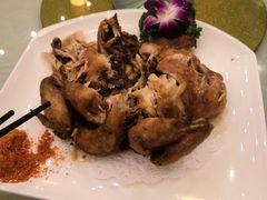 -华山御温泉度假村