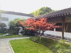 -荆川公园
