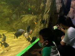 -常州海昌海洋探索馆